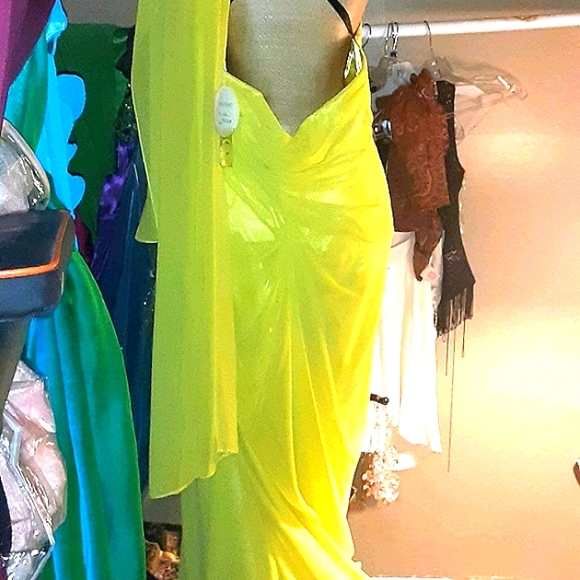 SOLD YESTERDAY Alyce paris PLUS SIZE DRESS - Picture 2 of 11